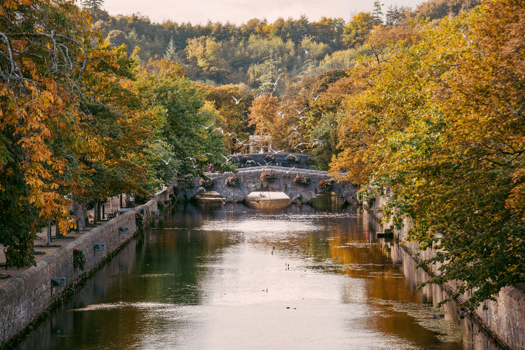 Keep Discovering Westport